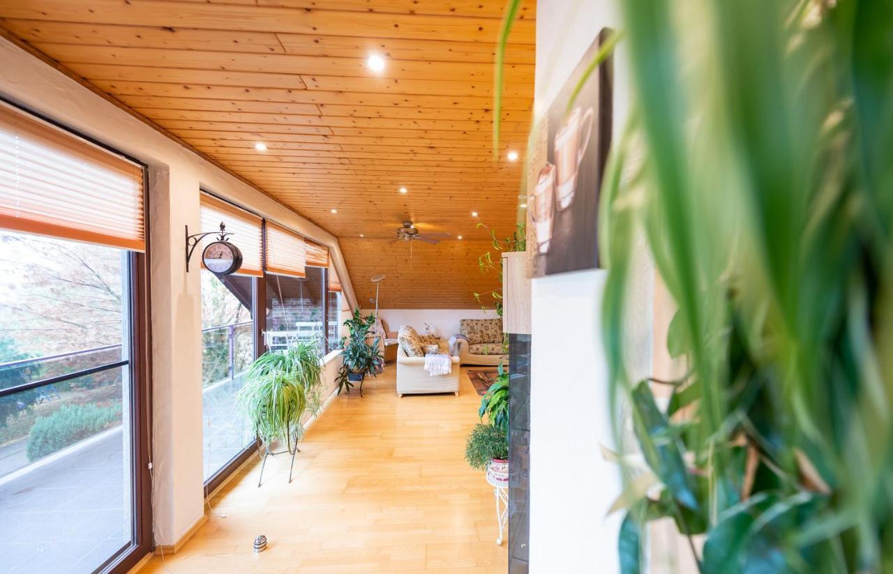 Ferienwohnung Virginija Ditscheid Exterior photo